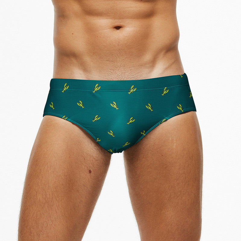 Swim Briefs Print Panel Shorts